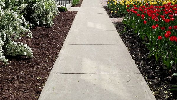 Cost of Cement Sidewalk Installation in Rockwall
